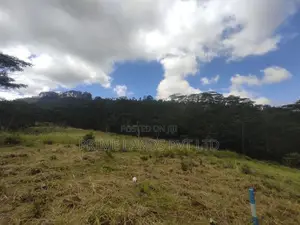 Beautiful Land in Pussalawa