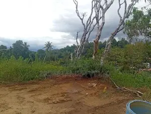 Beautiful Land in Pethiyagoda