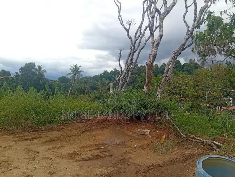 Beautiful Land in Pethiyagoda
