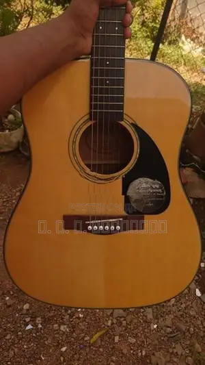 Fender Adapted Acoustic Guitar