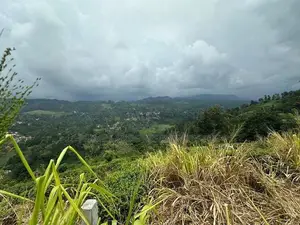 Lands for sale in Pussellawa