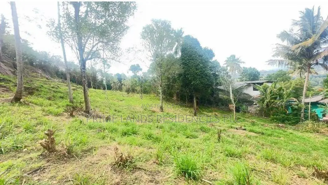 Lands for sale in Gurudeniya