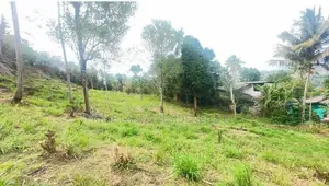 Lands for sale in Gurudeniya