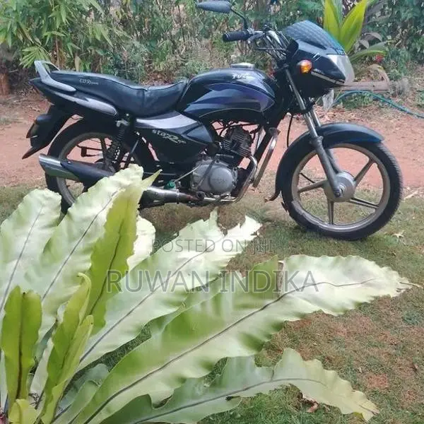 TVS Star Sport 125 2009