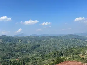 Lands for sale in Nillamba