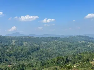 Lands for sale in Nillamba