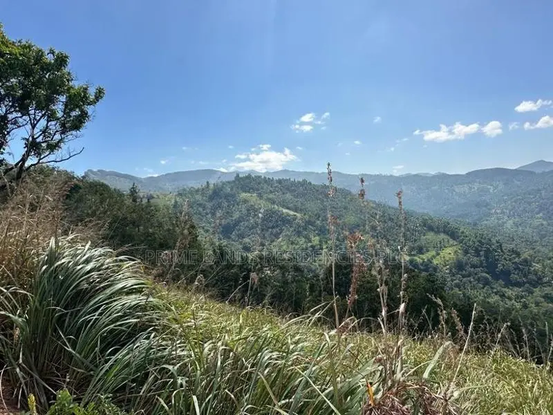 Lands for sale in Nillamba