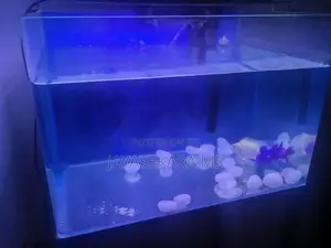 Fish Tank