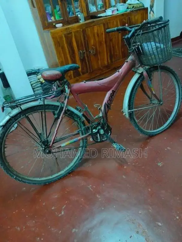 Bicycle
