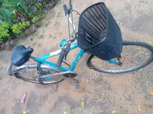 DSI Bicycle