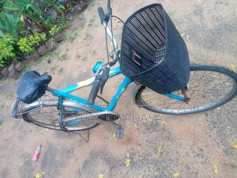 DSI Bicycle