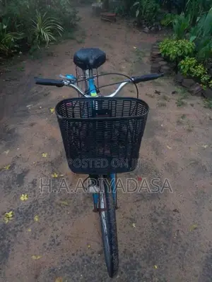 DSI Bicycle