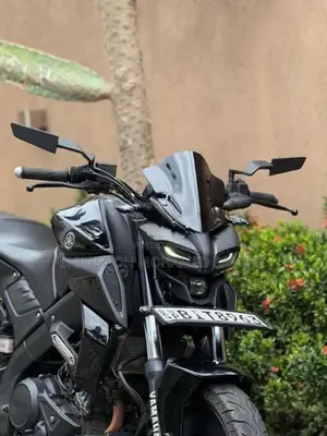 Yamaha MT 15 2019
