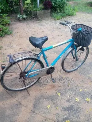 DSI Bicycle