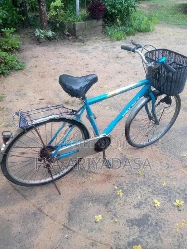 DSI Bicycle