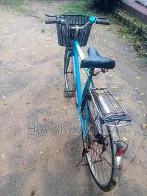 DSI Bicycle