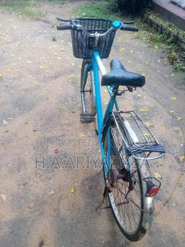 DSI Bicycle