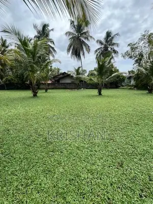 මැලේසියන් තණකොළ