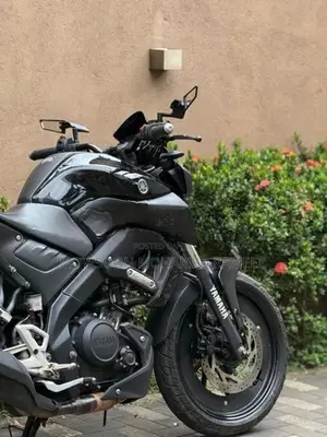 Yamaha MT 15 2019
