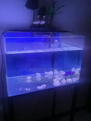 Fish Tank