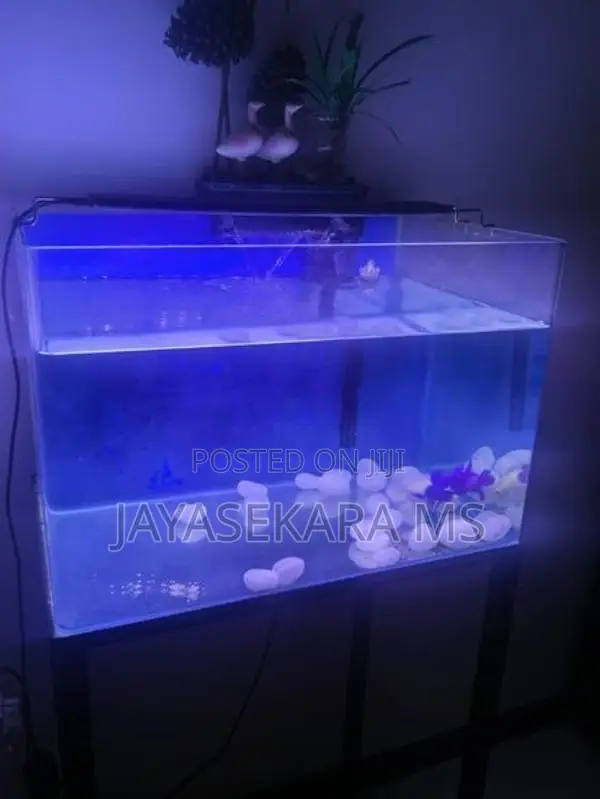 Fish Tank