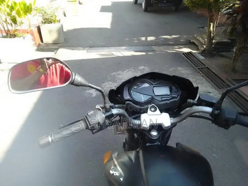 TVS Flame Falme 2008
