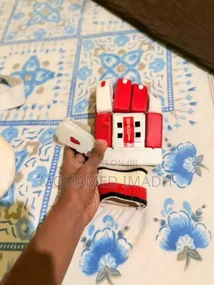 Hard Ball Cricket Set