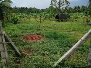 Agriculture Land Sale in Godigamuwa