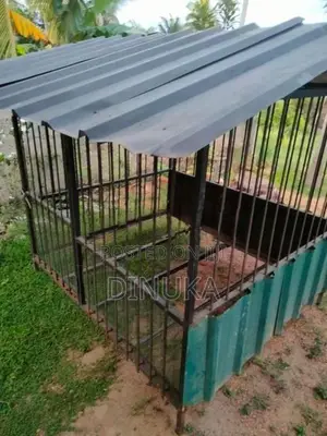Dog Cage