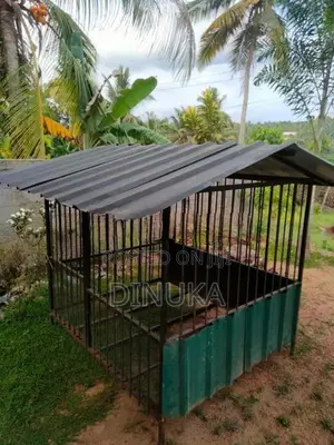 Dog Cage