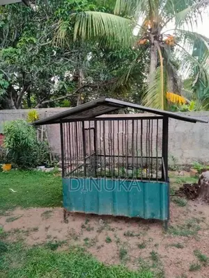 Dog Cage