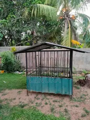 Dog Cage