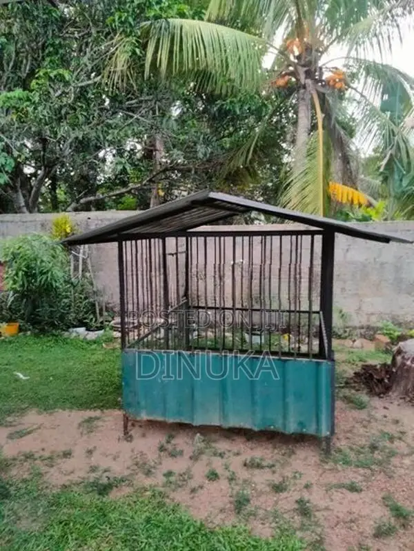 Dog Cage