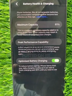 Apple iPhone 13 Pro Max (Used)