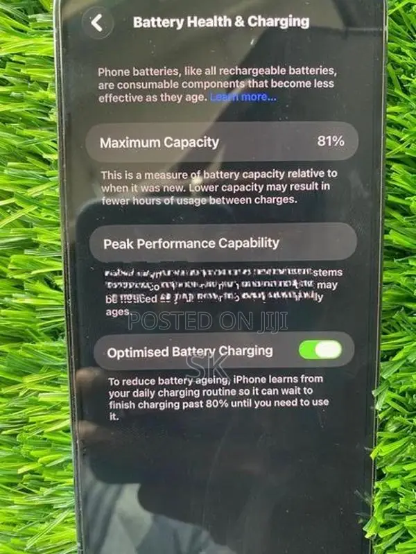 Apple iPhone 13 Pro Max (Used)