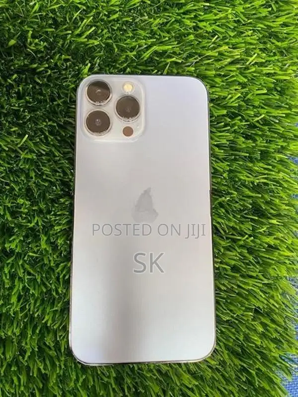 Apple iPhone 13 Pro Max (Used)