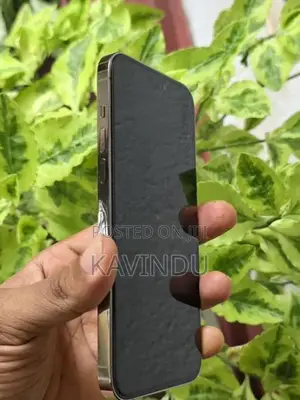 Apple iPhone 14 Pro Max (Used)