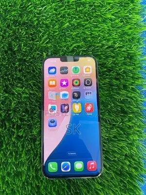 Apple iPhone 13 Pro Max (Used)