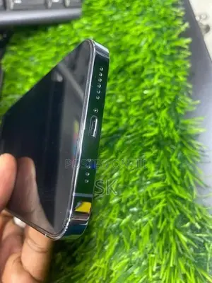 Apple iPhone 13 Pro Max (Used)