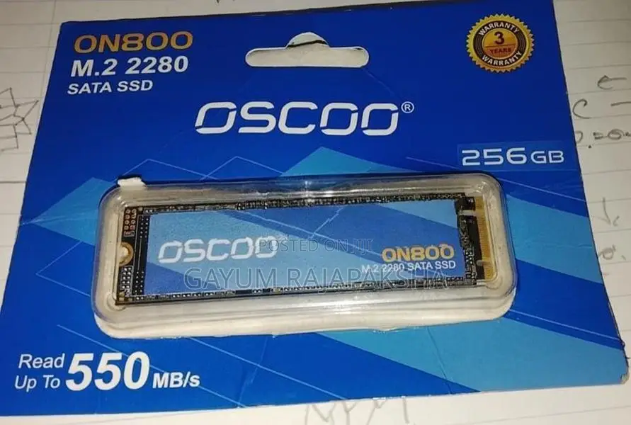 256GB SATA SSD M.2