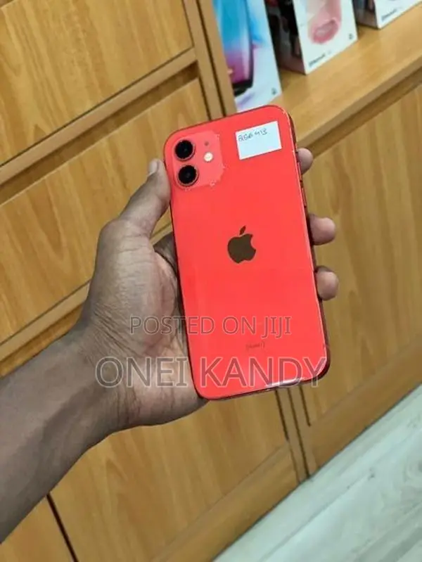 Apple iPhone 12 256GB (Used)