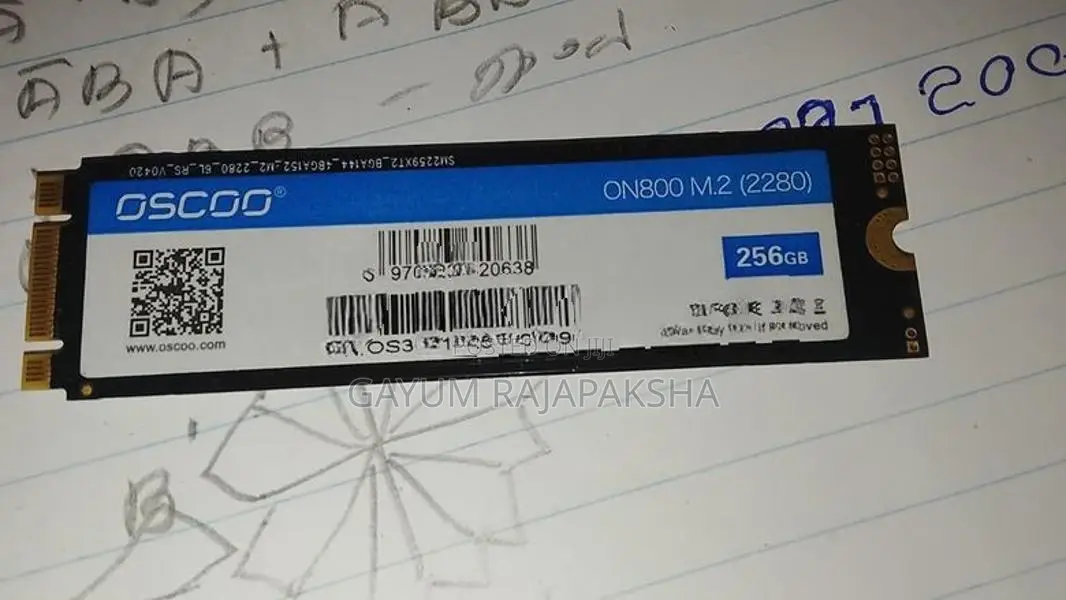 256GB SATA SSD M.2