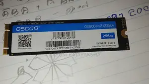 256GB SATA SSD M.2