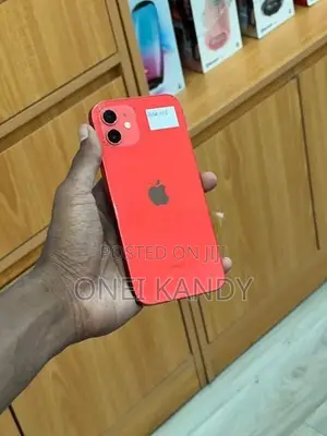 Apple iPhone 12 256GB (Used)