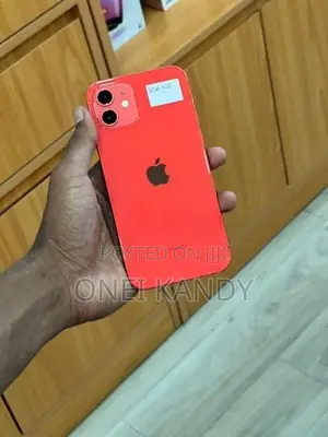 Apple iPhone 12 256GB (Used)