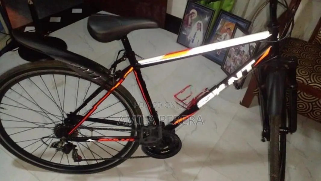 Mountain Bicycle