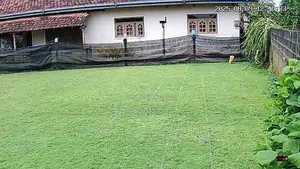 Grass Carpet Roll