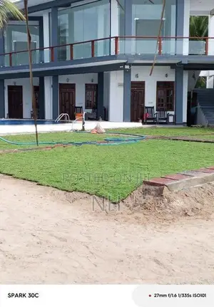 Grass Carpet Roll