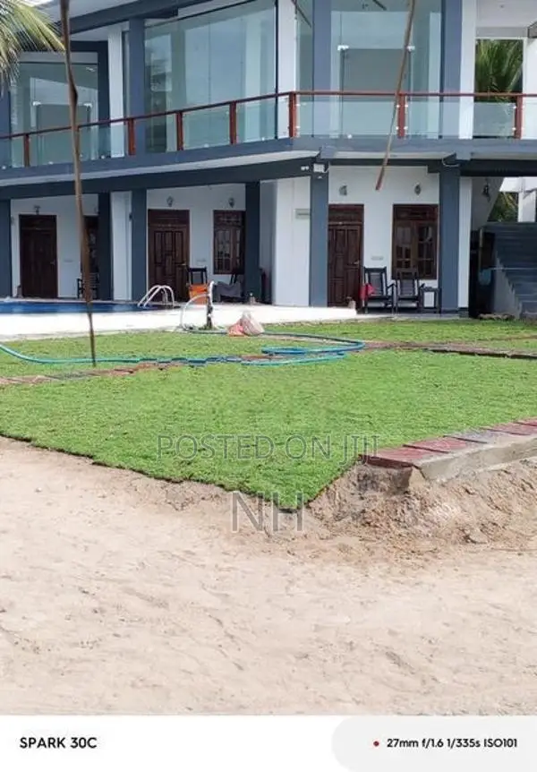 Grass Carpet Roll