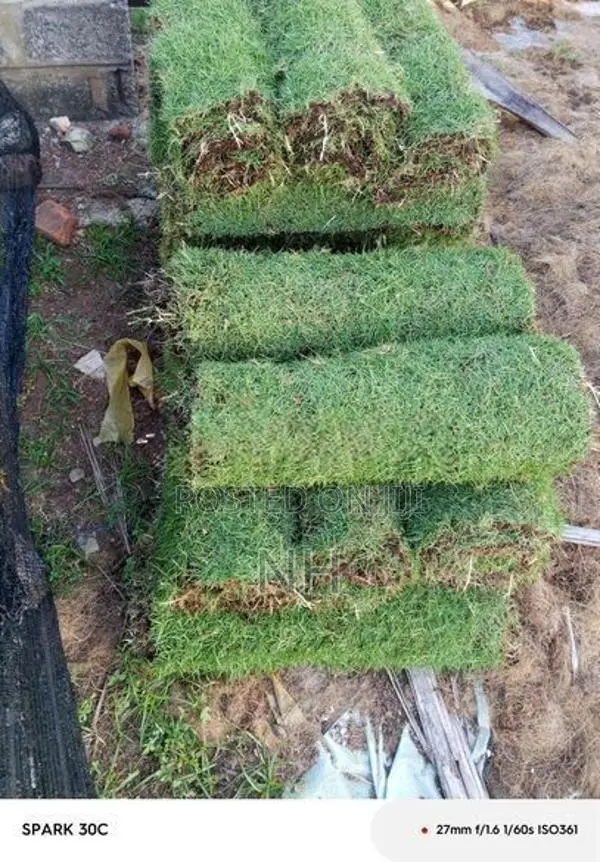 Grass Carpet Roll
